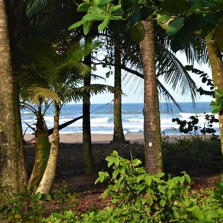 Hotel Pura Natura Beachfront トルトゥゲーロ エクステリア 写真