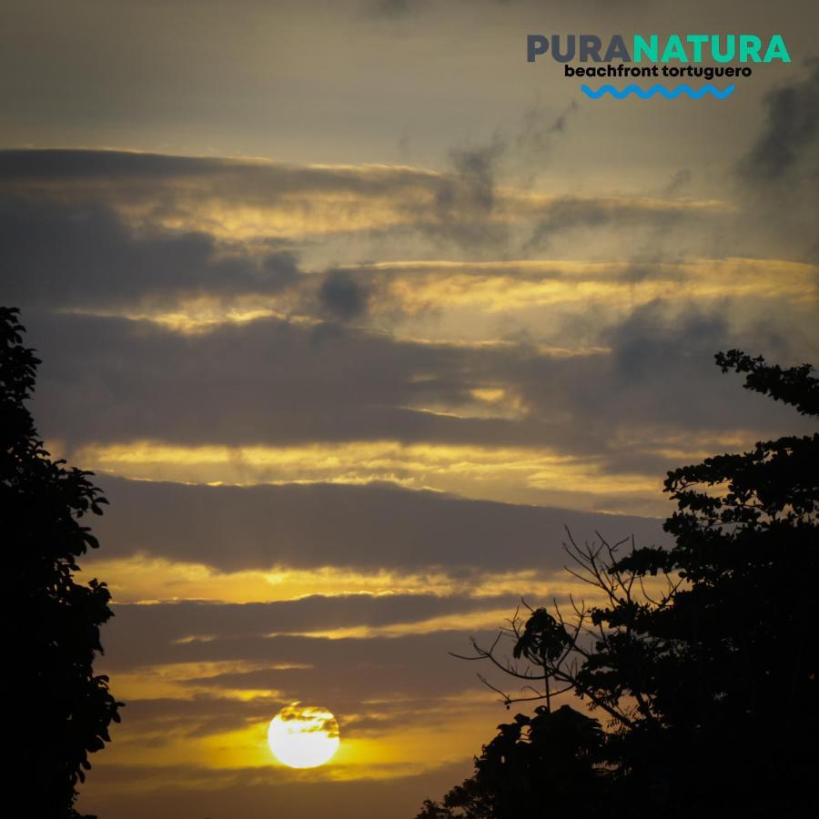 Hotel Pura Natura Beachfront トルトゥゲーロ エクステリア 写真