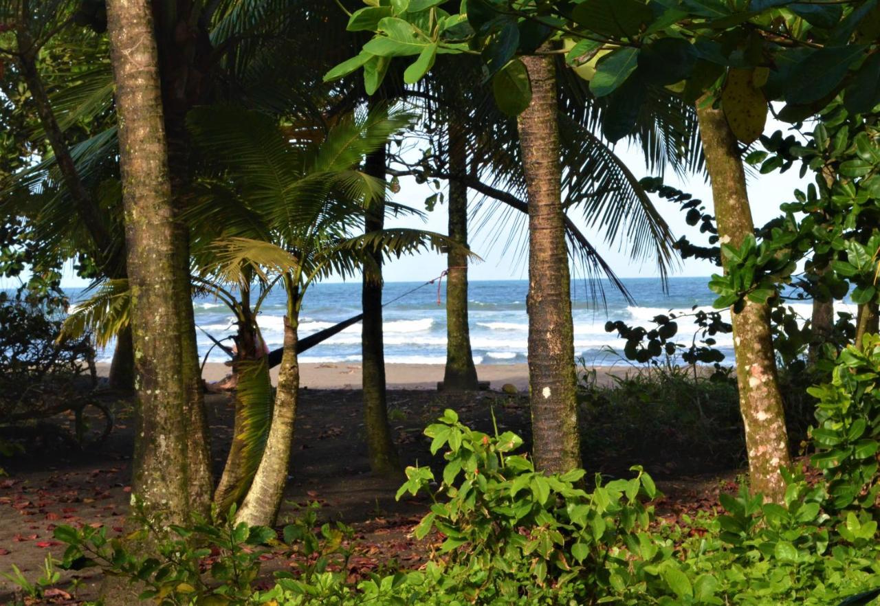 Hotel Pura Natura Beachfront トルトゥゲーロ エクステリア 写真