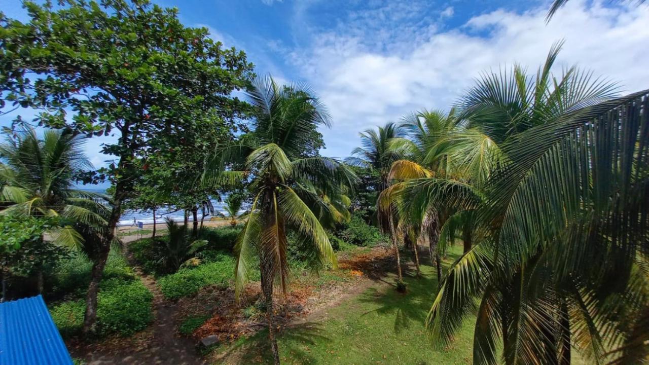 Hotel Pura Natura Beachfront トルトゥゲーロ エクステリア 写真