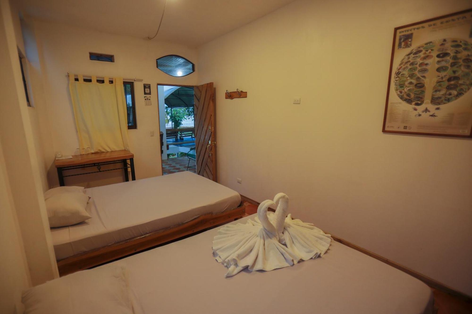 Hotel Pura Natura Beachfront トルトゥゲーロ エクステリア 写真