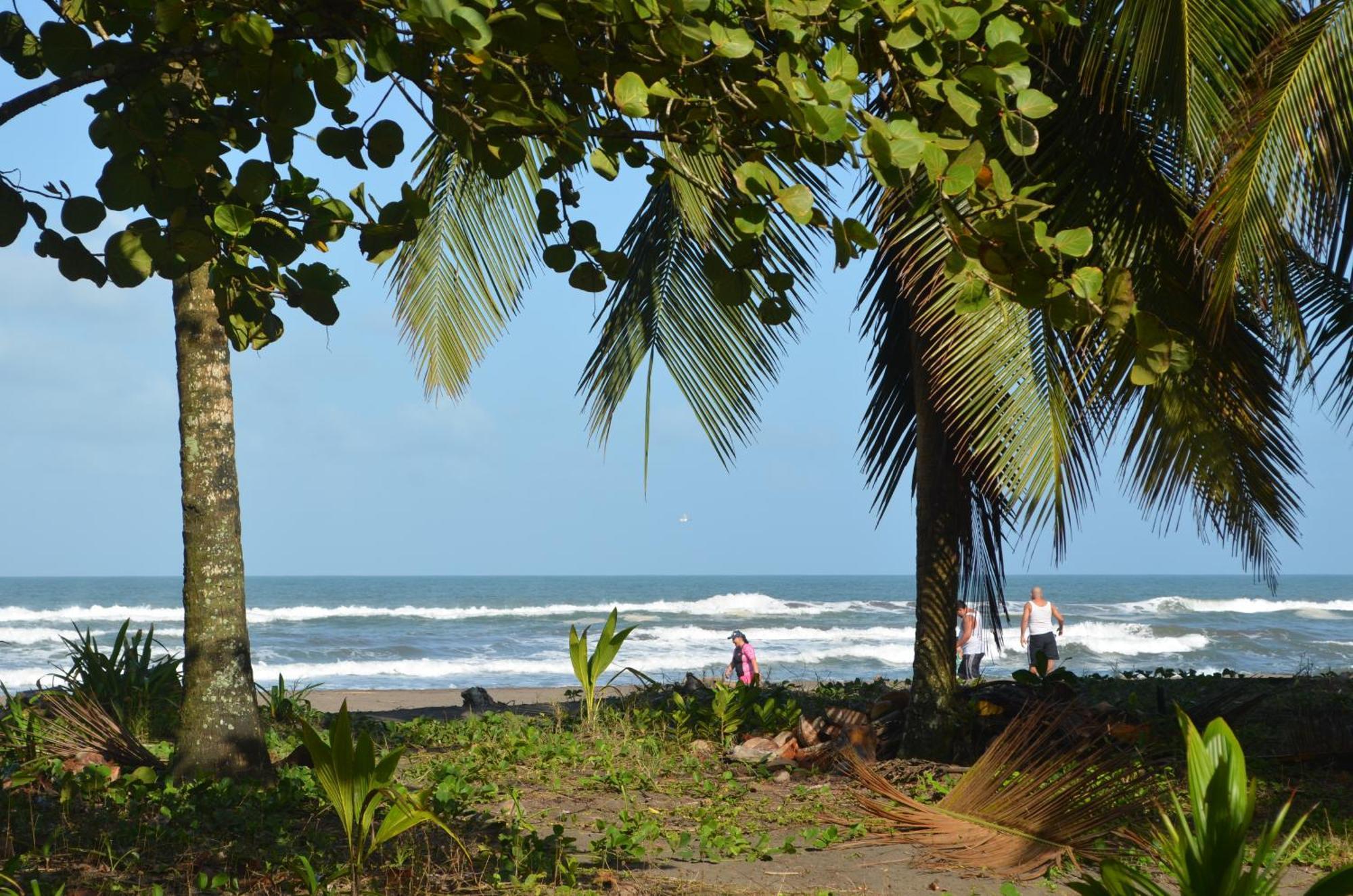 Hotel Pura Natura Beachfront トルトゥゲーロ エクステリア 写真